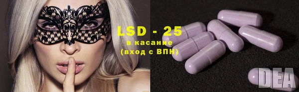прущие грибы Алексин