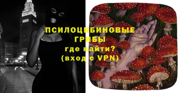 прущие грибы Алексин