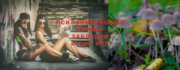 apvp Алексеевка