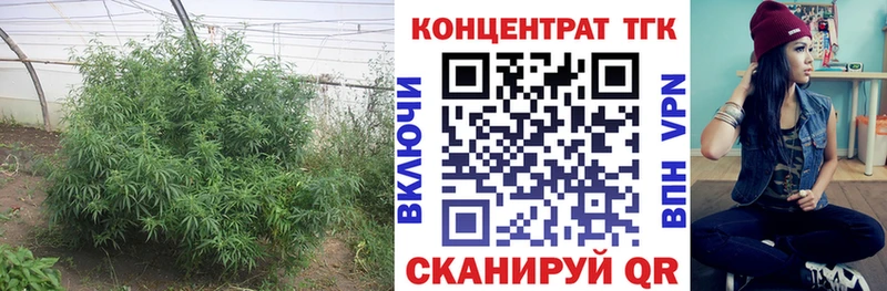 Дистиллят ТГК концентрат Ковылкино