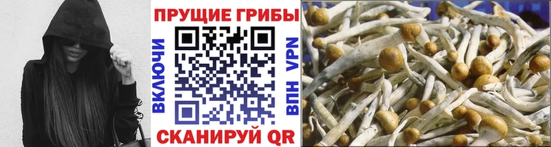 Галлюциногенные грибы MAGIC MUSHROOMS  Ковылкино 